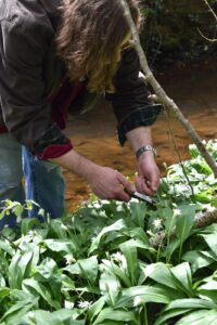 Supper club at the Broadfield Foragers dining club natural ingredients